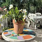 Da Cristina App B Casa vacanze Maratea